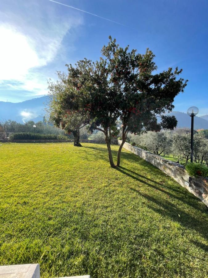 Affittacamere Il Vecchio Mandorlo Quarrata Buitenkant foto