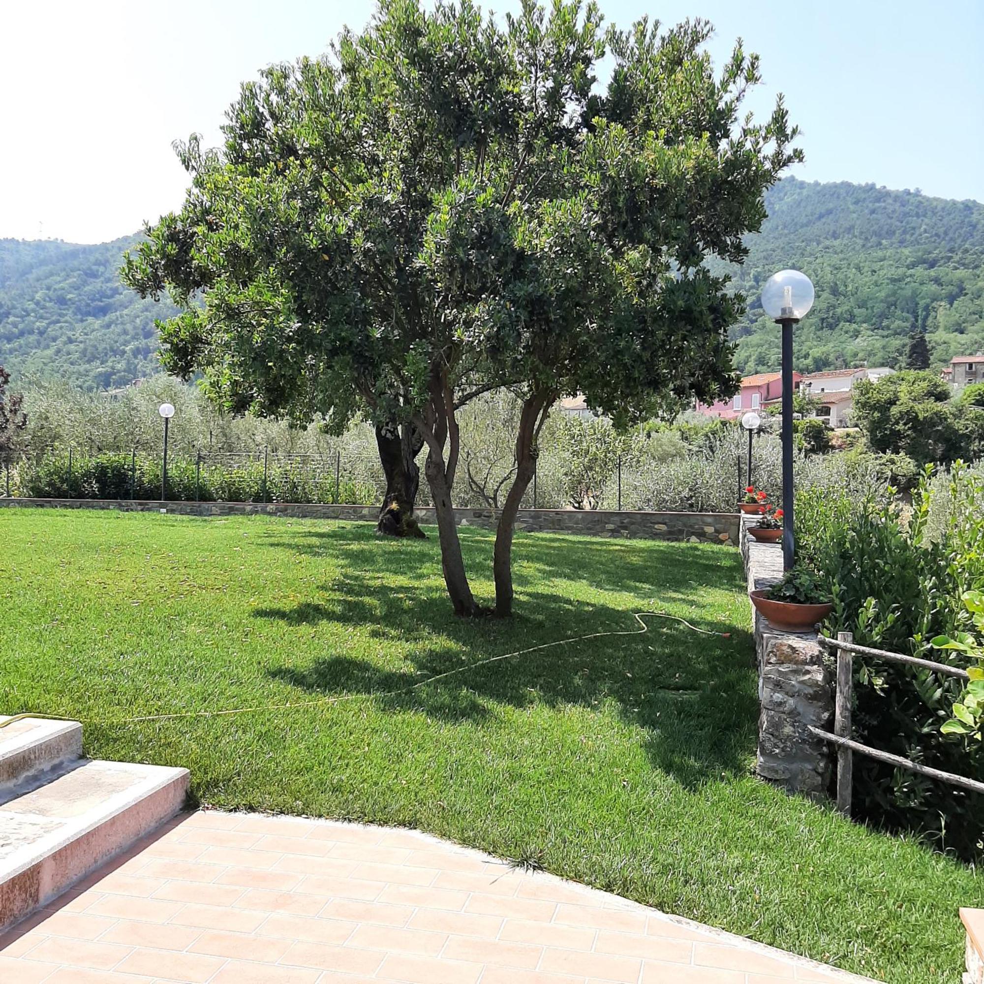 Affittacamere Il Vecchio Mandorlo Quarrata Buitenkant foto