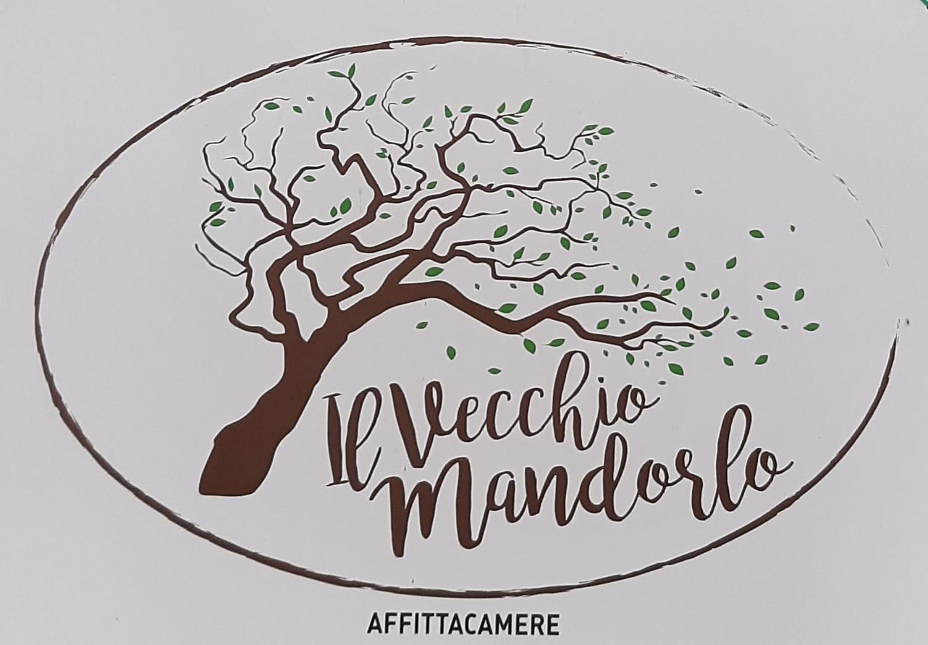 Affittacamere Il Vecchio Mandorlo Quarrata Buitenkant foto